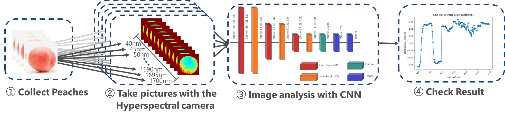 244: Enhanced Nondestructive Prediction of Peach Sugar Content Using Hyperspectral Imaging and Convolutional Neural Networks